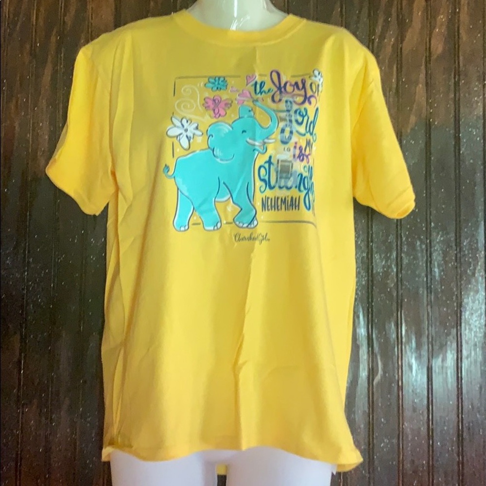 Joy of the Lord Tees (By Kerusso)